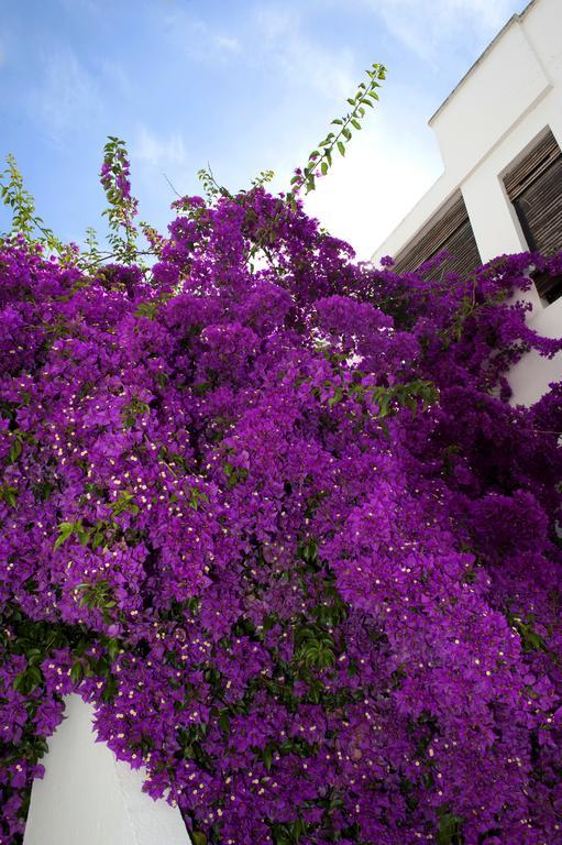 Haspeyma Otel Bodrum Exterior photo